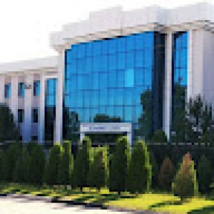 safaraliyevsamandar