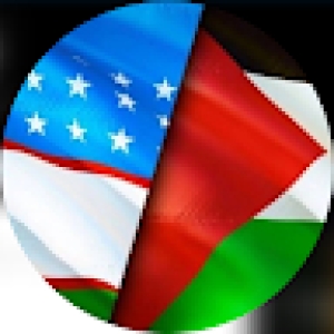 alisher4042