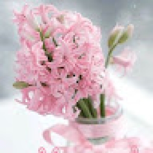 yusuf_smm