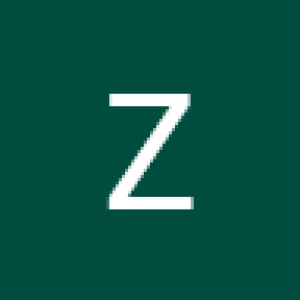 zeborashidova_work