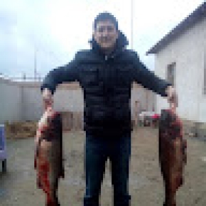 uktammusaev