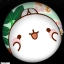 zefir_shop