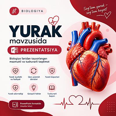 Biologiya fanidan “Yurak” mavzusida prezentatsiya