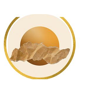 Логотипы